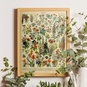Framed vintage botanical flower print poster with multicolor flowers and leaves