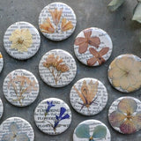 5 Real Pressed Flower Magnets on Vintage Gardening Encyclopedia Pages | NEW Stronger Magnets