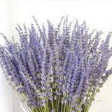 250-300 stems/bundle, lavender, high-quality dried flowers, purple lavender, wedding decoration, home decoration dried flowers