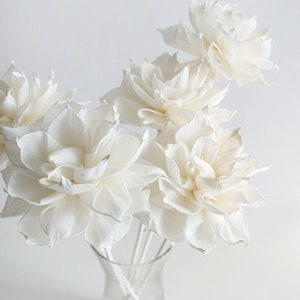 White dahlia sola wood flower cluster, reed diffuser set (5-pack)