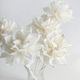 Reed Diffuser Set of 5 Dahlia  3 Inch Sola Wood Flower  for Home Fragrance by Plawanature.