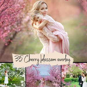 Cherry blossom themed photo overlay set with pink floral frames and captions