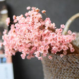 200 pcs little star flower small daisy_babyÕs breath_dried flower arrangement  DIY flowers lipstick materials_craft supply  home decor