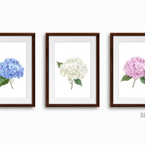 Hydrangea Art Prints Set of 3x Botanical Watercolor Unframed Wall Arts Decor Peony Dahlia Green Leaves FREE DELIVERY