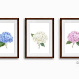 Hydrangea Art Prints Set of 3x Botanical Watercolor Unframed Wall Arts Decor Peony Dahlia Green Leaves FREE DELIVERY