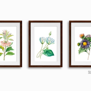 Set of three botanical watercolor flower art prints with green leaves in dark border frames