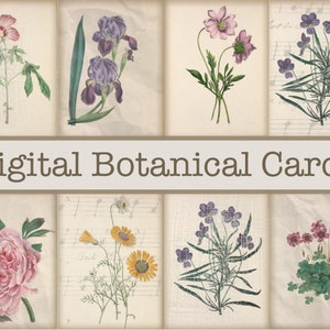 Digital botanical card set with assorted pressed-flower illustrations in a collage grid
