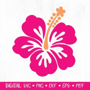 Digital hibiscus flower SVG graphic, magenta hibiscus with orange stamen accents
