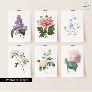Set of 6 vintage botanical flower prints: lilac peony bluebells dogwood roses hydrangea