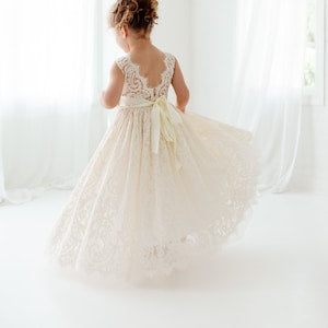 Ivory lace bodice tulle dress with sleeveless floral embroidery and full skirt
