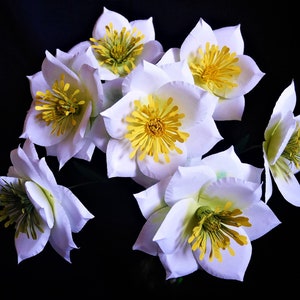 Adelia fantasy flower paper template set featuring white lavender blooms with yellow centers