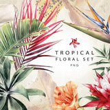 Tropical flowers | Watercolor flower clipart | Individual PNG | Digital tropical plants