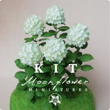 Kit Cream white Hydrangea dollhouse Miniature garden flower shop, scale 1:12, DIY