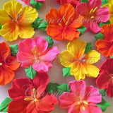 Royal Icing Hibiscus Flowers in Bright Summer Colours with Leaves & center Stamens 1  1/2