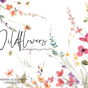 Watercolor wildflower clipart set with pink, peach, and blue blooms and butterflies