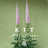 Kit light pink Foxgloves dollhouse Miniature garden flower shop, scale 1:12, DIY