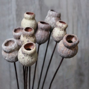 Dried flower arrangement with small clay pot vessels on thin stems