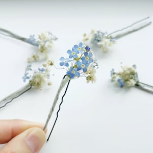 Blue dried flower hair pin with forget-me-not style blooms on metal wire