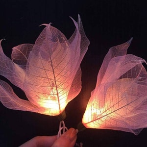 Pink flower fairy string lights with glowing bulbs, plug-in wall decor