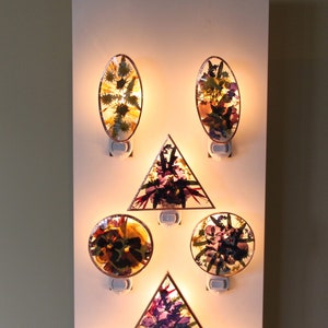 Pressed flower night light with oval and triangular glowing shapes