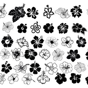Hibiscus flower clipart set with silhouette and outline icons in black and white