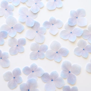 Edible pre-cut hydrangea wafer flowers, pale blue with centered dots