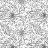Ceramic Decals, Underglaze Transfer - Flower - Daisy