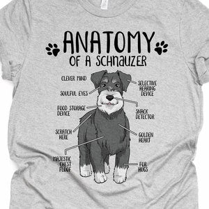 Heather gray unisex t-shirt with schnauzer anatomy graphic and ANATOMY OF SCHNAUZER text