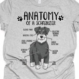 Funny Schnauzer Gift, Unisex Anatomy Schnauzer T-Shirt, Schnauzer Dog Lover Gift, Schnauzer Mom Shirt, Schnauzer Print Tee Shirt Adults Kids