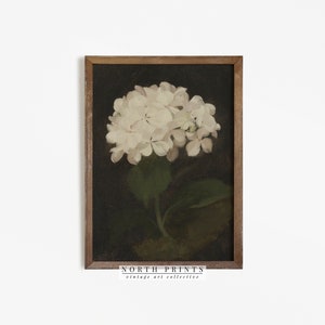 Framed hydrangea botanical print with white blossoms and green leaves on dark background