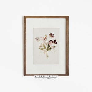 Framed antique botanical watercolor print with delicate flowers and leaves