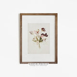 Botanical Vintage Print | Antique Flower Watercolor Farmhouse PRINTABLE #405