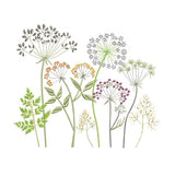 Meadow Flower Herb Machine Embroidery Design, Daisy Easter Floral Botanical Garden Pattern Instant Download ZIP - 8 designs ANY SIZE