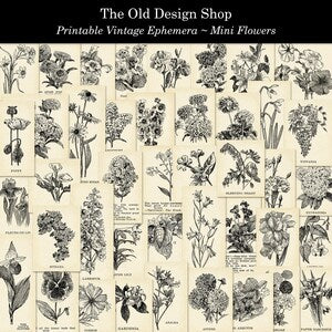 Printable mini flower vintage ephemera clip art sheets, black-and-white floral designs