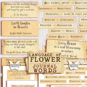 Language of Flower journal words printable quote set with flower-themed definitions