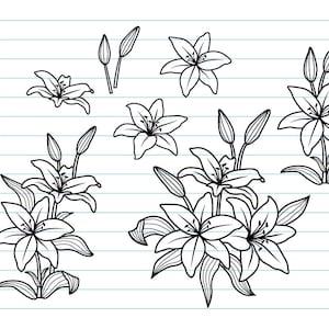 Floral bouquet line art SVG bundle, black flower and leaf outlines