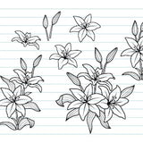 Lily Flower Svg, Flower bouquet Svg, Flower Svg, Flower bundle svg, Paper Ct Template, Floral Svg Files For Cricut, Digital Print, Svg, Dxf.
