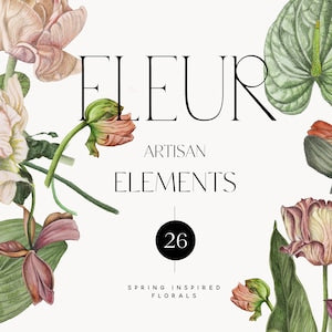 Botanical flower illustration set cover with tulips, poppies, and anthurium