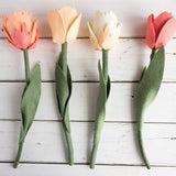 Tulip Felt Flower PATTERN Template; no-sew felt; Includes 2 Varieties; Pattern PDF, SVG cut file; Party favors, bouquet, Cricut, Silhouette