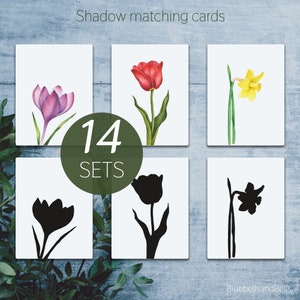 Set of printable flower shadow matching cards with tulip, daisy, and lily silhouettes