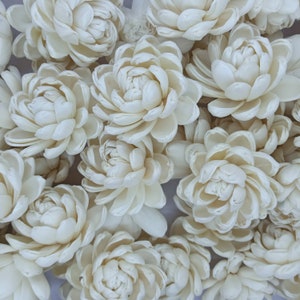 Artificial sola wood flowers, white lotus-style blooms, clustered flower heads