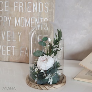 Glass bell dried flower arrangement with pale pink peony, greenery, on wooden base