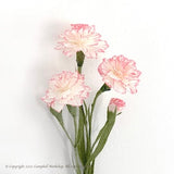 DIY KIT - Handmade Crepe Paper Carnation Flower's Kit with Video Tutorial