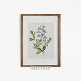 Farmhouse Botanical Print | Vintage Blue Flower Watercolor PRINTABLE #572