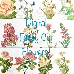Digital fussy cut flower illustrations sheet with pink and blue floral accents