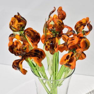 Orange tiger-pattern glass iris flowers with long green stems and clustered blooms