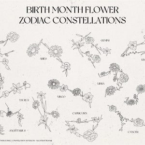Zodiac constellation bundle SVG with birth month flower line art, seamless pattern