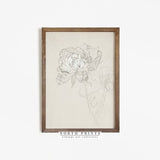Flower Sketch | Vintage Botanical Line Drawing | Floral Art PRINTABLE North Prints | 77