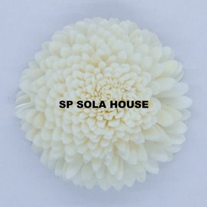 Artificial sola wood flower zinnia, white balsa-wood blossom