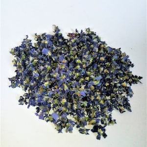 Dried sweet violet flowers, small blue-purple petals